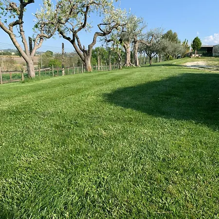 Фермерский дом La Collinetta Brecciarola