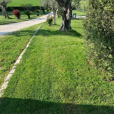 La Collinetta * Brecciarola