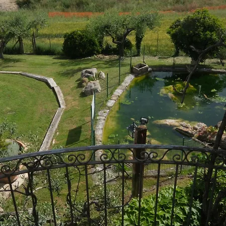 La Collinetta Brecciarola