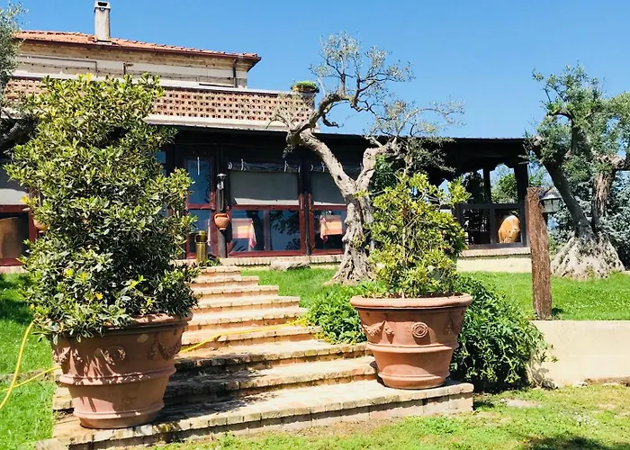 Agroturismo La Collinetta *