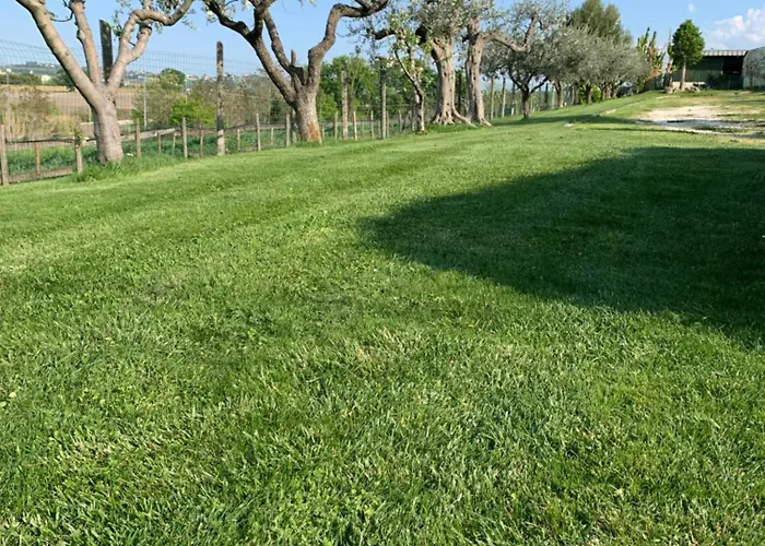 Agroturismo La Collinetta Brecciarola