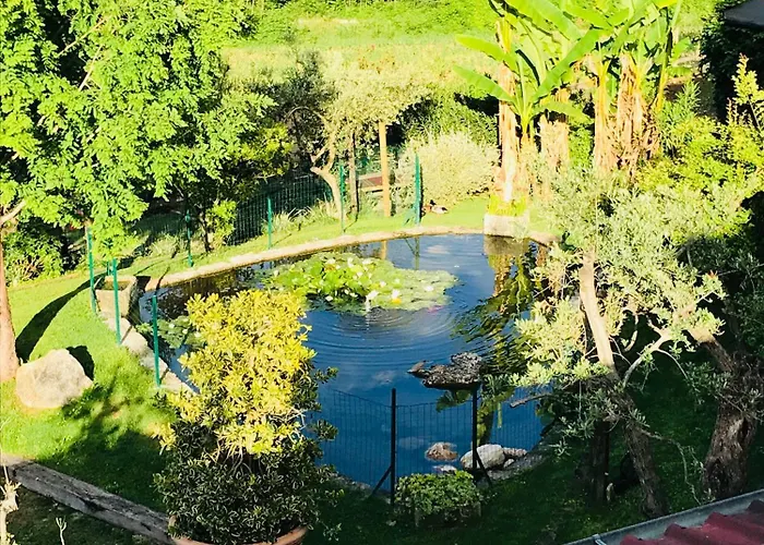 La Collinetta Agroturismo *