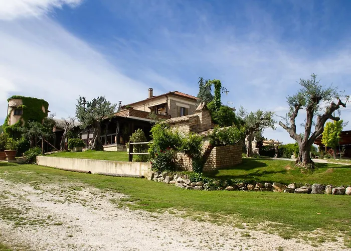 La Collinetta * Brecciarola