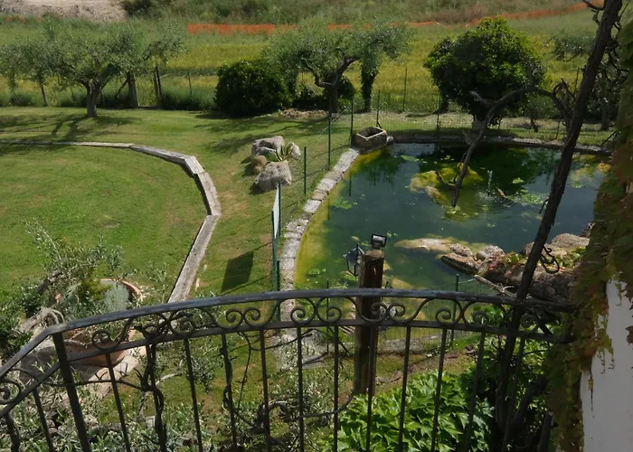 La Collinetta Brecciarola